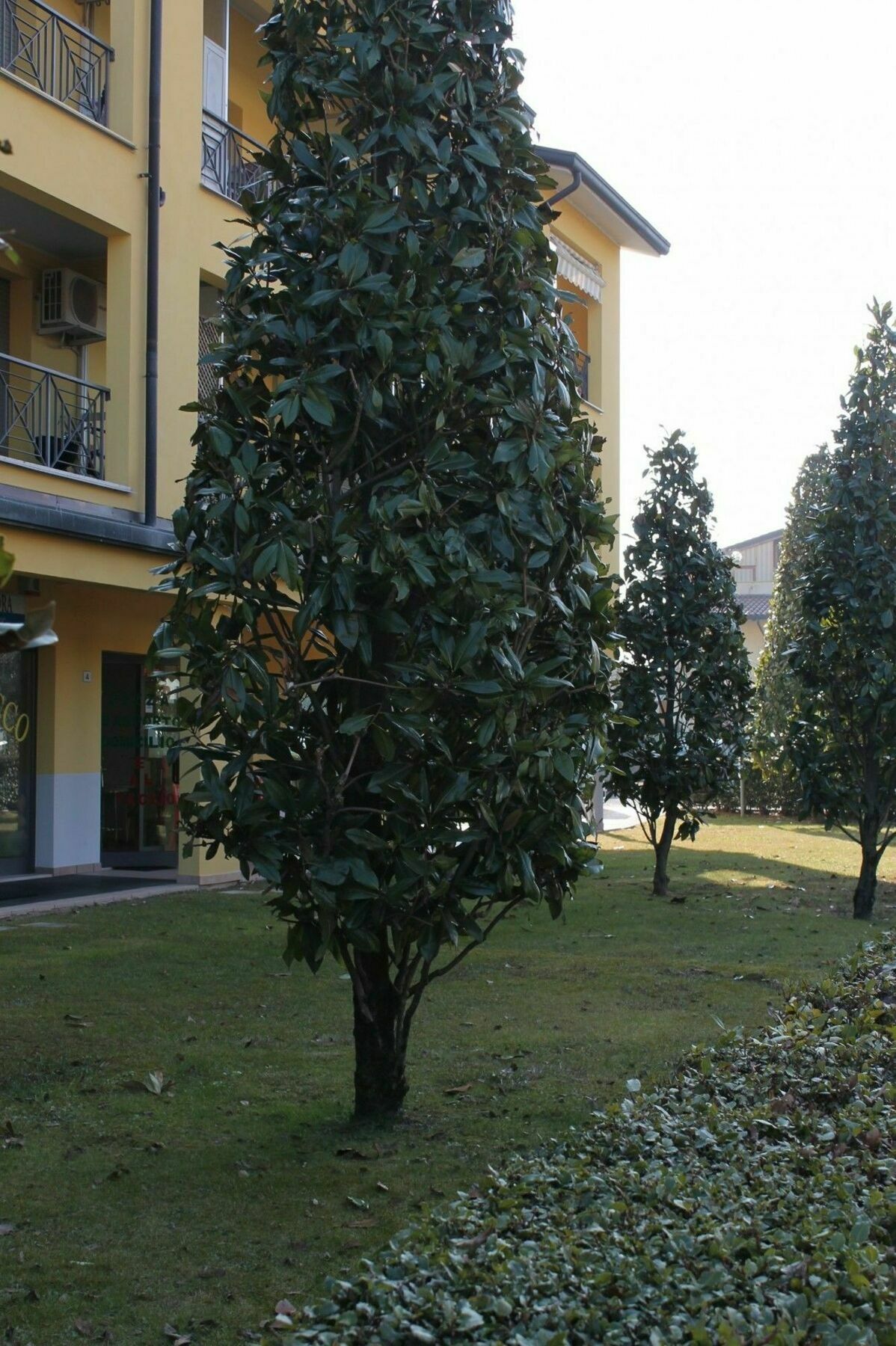 Sarno Apartments Caravaggio Sirmione Eksteriør bilde
